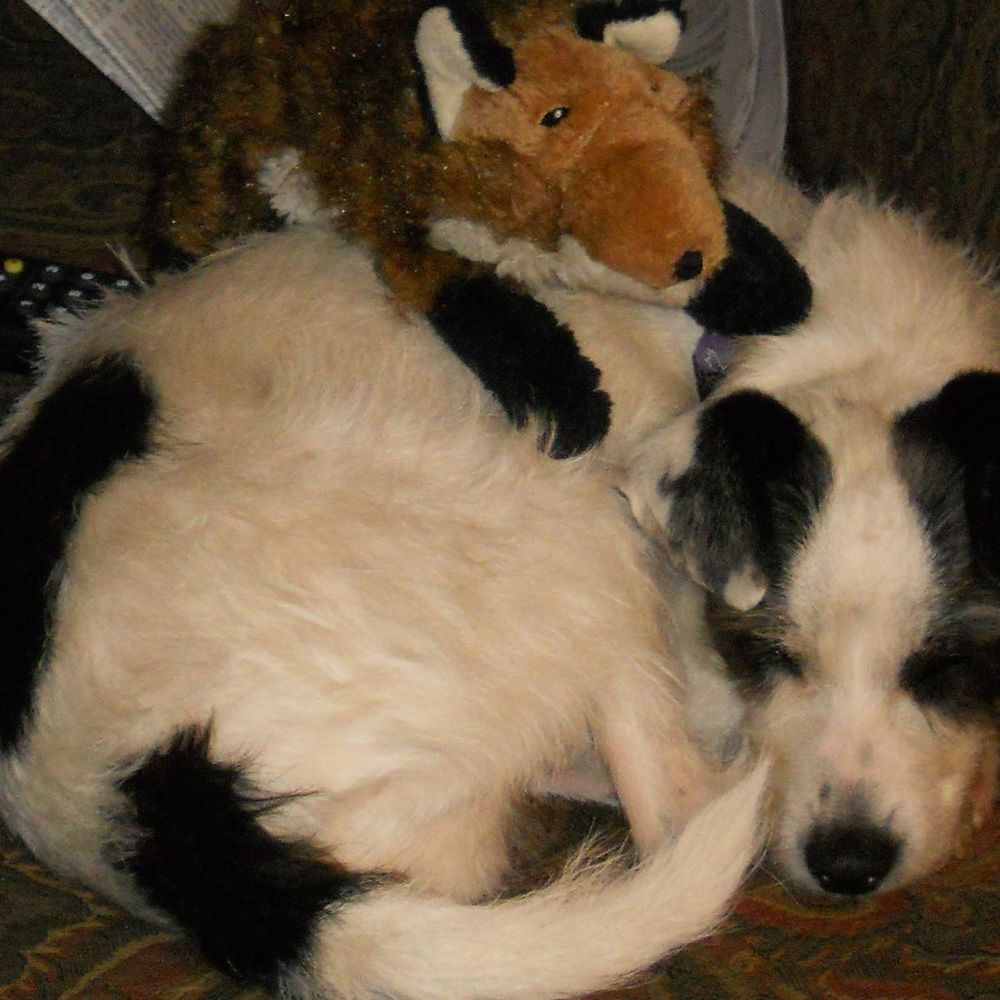 Meet your Posher, Deb